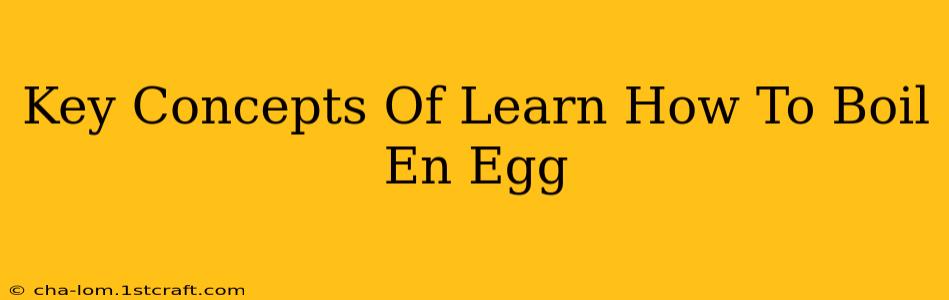 Key Concepts Of Learn How To Boil En Egg