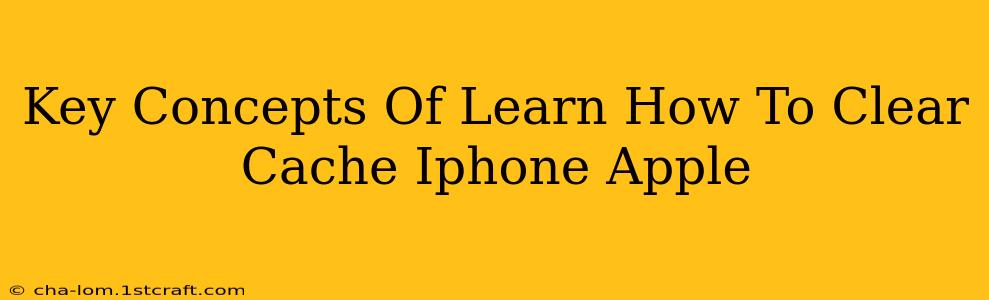 Key Concepts Of Learn How To Clear Cache Iphone Apple