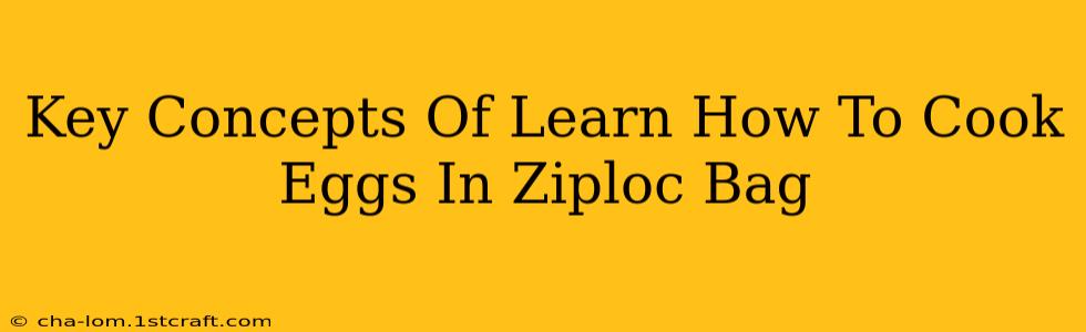 Key Concepts Of Learn How To Cook Eggs In Ziploc Bag