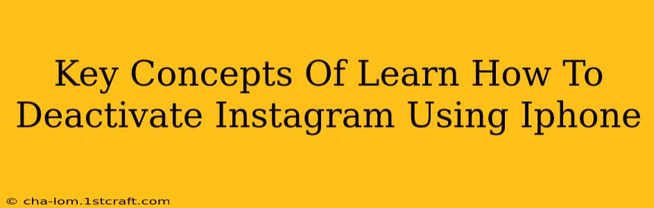 Key Concepts Of Learn How To Deactivate Instagram Using Iphone