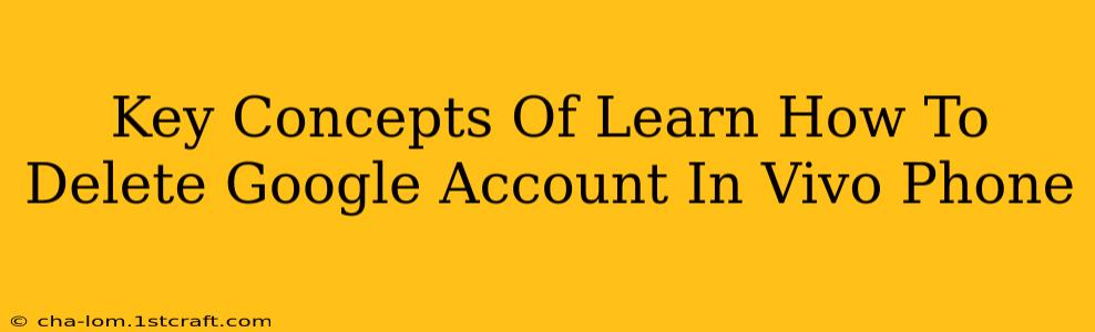 Key Concepts Of Learn How To Delete Google Account In Vivo Phone