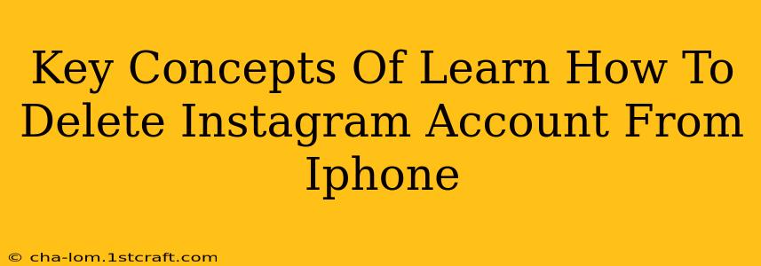 Key Concepts Of Learn How To Delete Instagram Account From Iphone