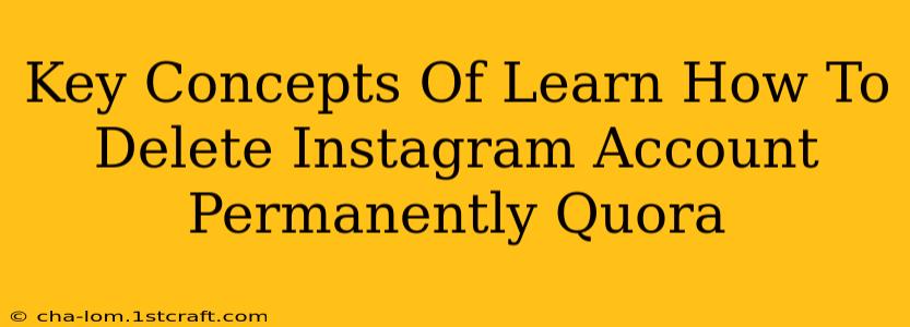 Key Concepts Of Learn How To Delete Instagram Account Permanently Quora