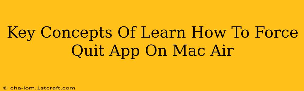 Key Concepts Of Learn How To Force Quit App On Mac Air