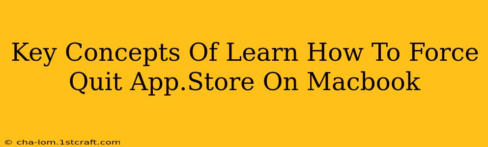 Key Concepts Of Learn How To Force Quit App.Store On Macbook