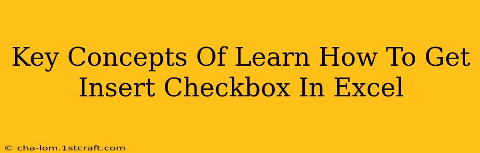 Key Concepts Of Learn How To Get Insert Checkbox In Excel