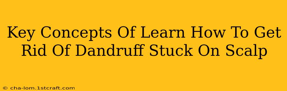 Key Concepts Of Learn How To Get Rid Of Dandruff Stuck On Scalp