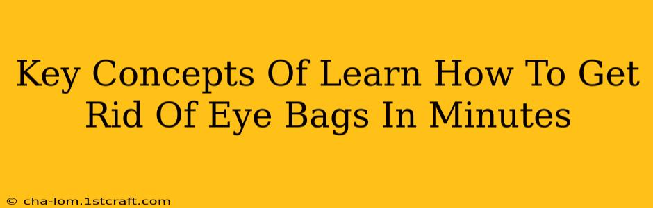 Key Concepts Of Learn How To Get Rid Of Eye Bags In Minutes