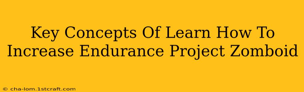 Key Concepts Of Learn How To Increase Endurance Project Zomboid