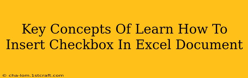 Key Concepts Of Learn How To Insert Checkbox In Excel Document