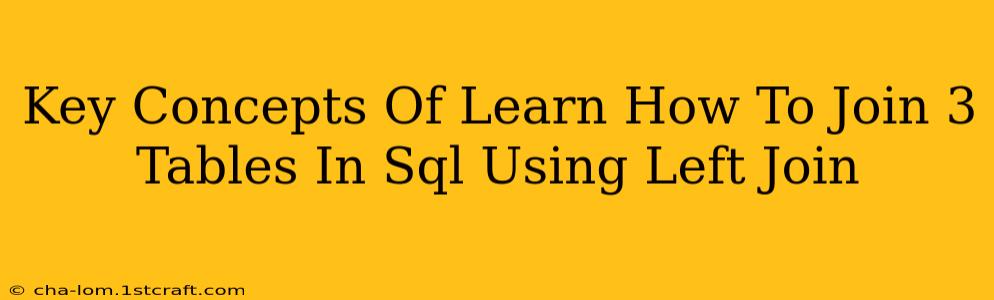 Key Concepts Of Learn How To Join 3 Tables In Sql Using Left Join