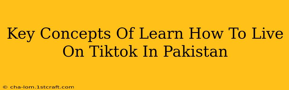 Key Concepts Of Learn How To Live On Tiktok In Pakistan