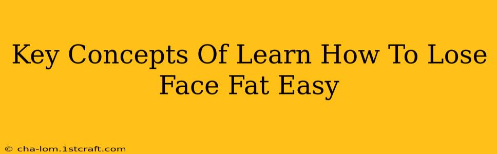 Key Concepts Of Learn How To Lose Face Fat Easy