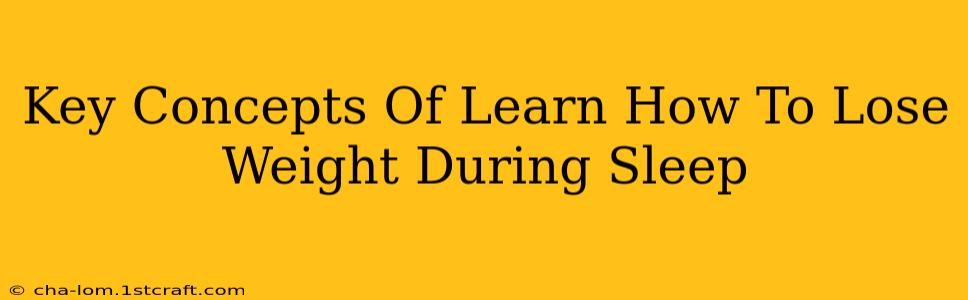 Key Concepts Of Learn How To Lose Weight During Sleep