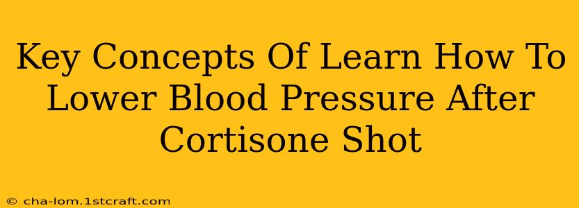 Key Concepts Of Learn How To Lower Blood Pressure After Cortisone Shot