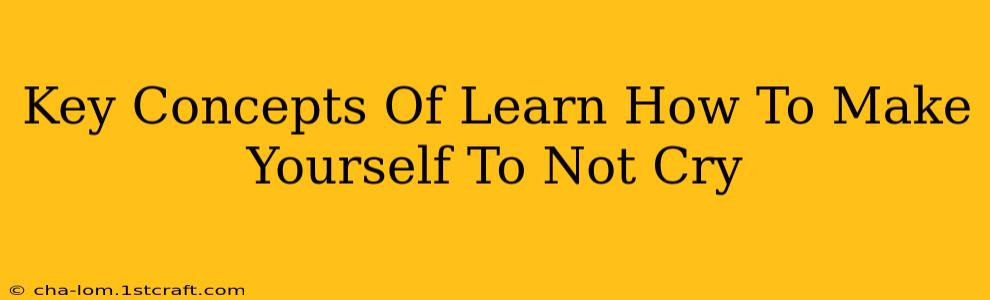 Key Concepts Of Learn How To Make Yourself To Not Cry