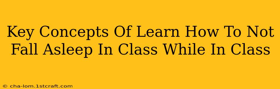 Key Concepts Of Learn How To Not Fall Asleep In Class While In Class