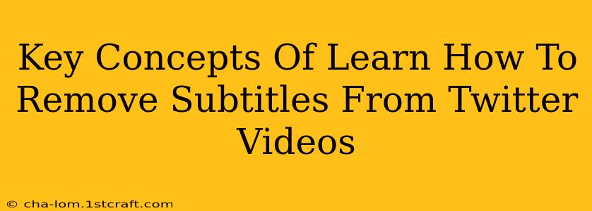 Key Concepts Of Learn How To Remove Subtitles From Twitter Videos