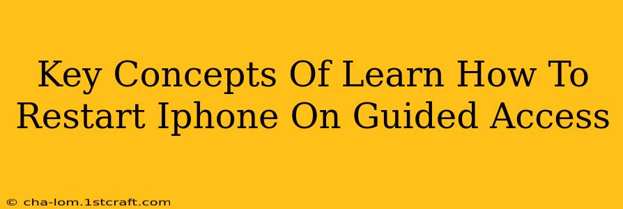 Key Concepts Of Learn How To Restart Iphone On Guided Access