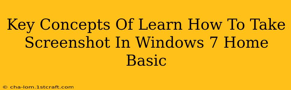 Key Concepts Of Learn How To Take Screenshot In Windows 7 Home Basic