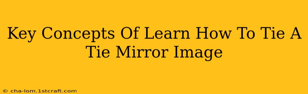 Key Concepts Of Learn How To Tie A Tie Mirror Image