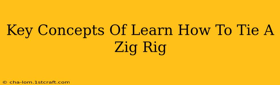 Key Concepts Of Learn How To Tie A Zig Rig