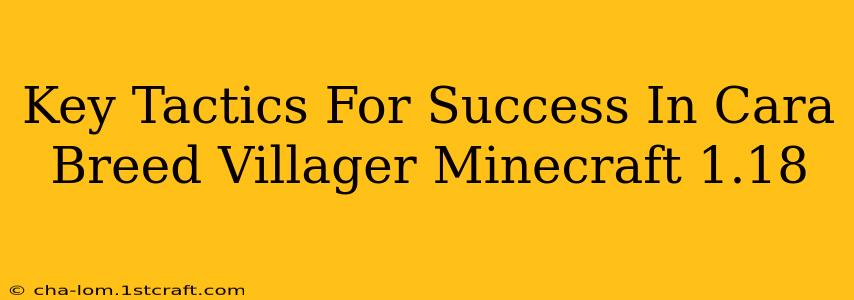 Key Tactics For Success In Cara Breed Villager Minecraft 1.18