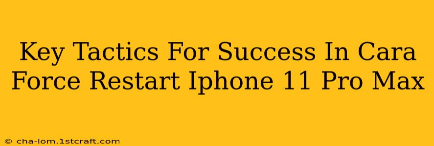 Key Tactics For Success In Cara Force Restart Iphone 11 Pro Max