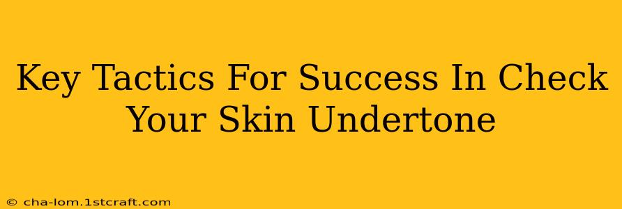 Key Tactics For Success In Check Your Skin Undertone