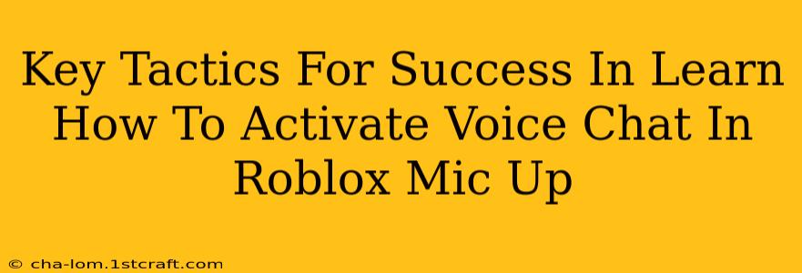 Key Tactics For Success In Learn How To Activate Voice Chat In Roblox Mic Up