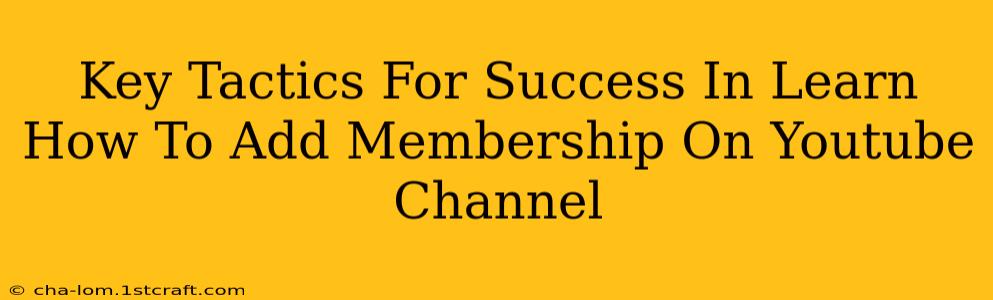 Key Tactics For Success In Learn How To Add Membership On Youtube Channel