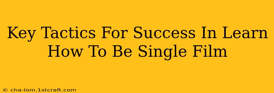 Key Tactics For Success In Learn How To Be Single Film