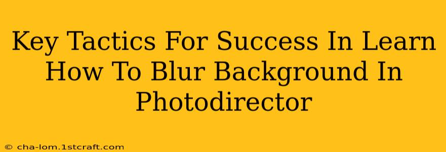 Key Tactics For Success In Learn How To Blur Background In Photodirector