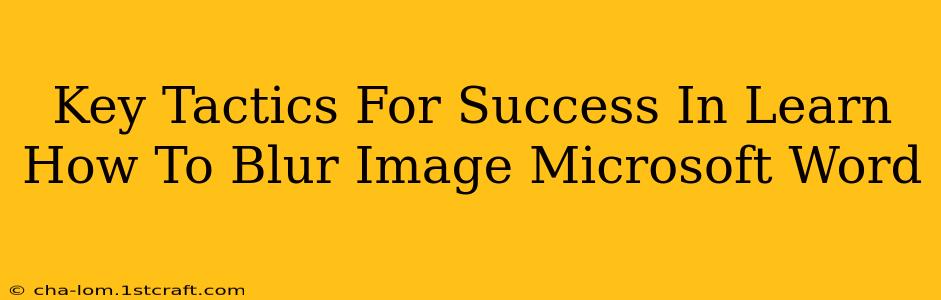 Key Tactics For Success In Learn How To Blur Image Microsoft Word