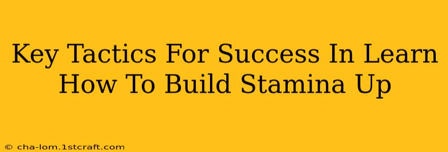 Key Tactics For Success In Learn How To Build Stamina Up