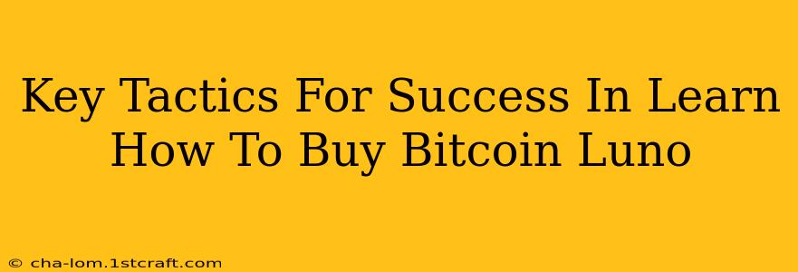 Key Tactics For Success In Learn How To Buy Bitcoin Luno