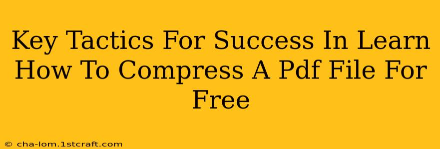 Key Tactics For Success In Learn How To Compress A Pdf File For Free