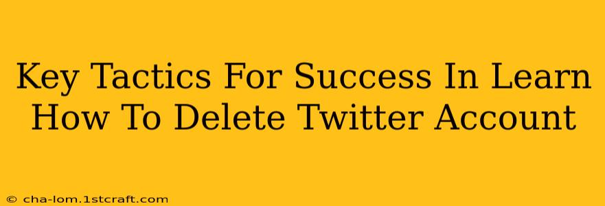 Key Tactics For Success In Learn How To Delete Twitter Account