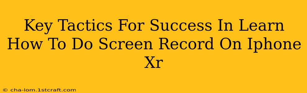 Key Tactics For Success In Learn How To Do Screen Record On Iphone Xr