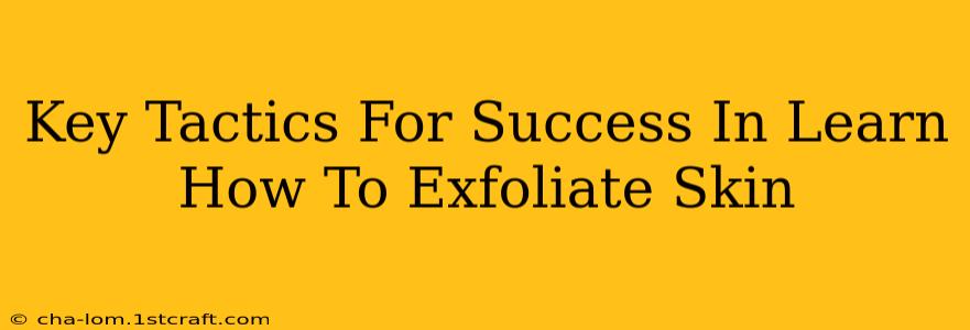 Key Tactics For Success In Learn How To Exfoliate Skin