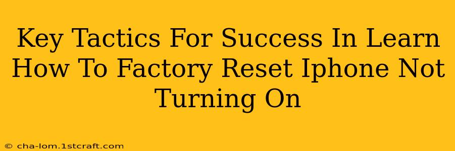 Key Tactics For Success In Learn How To Factory Reset Iphone Not Turning On