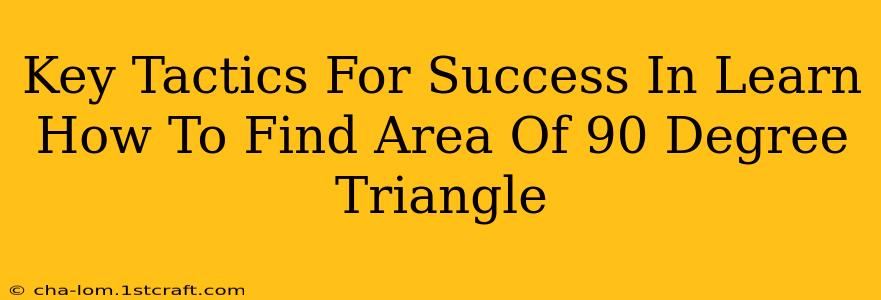 Key Tactics For Success In Learn How To Find Area Of 90 Degree Triangle