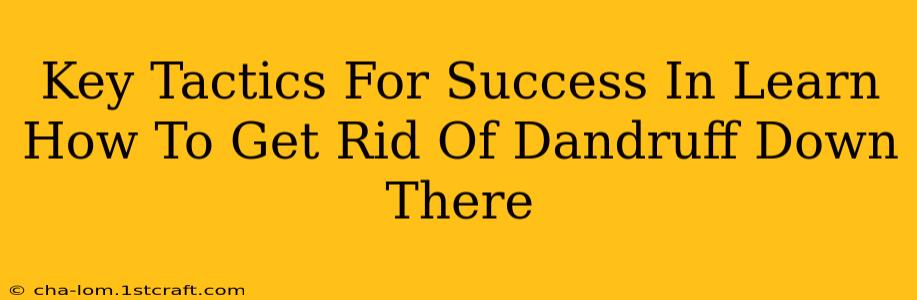 Key Tactics For Success In Learn How To Get Rid Of Dandruff Down There