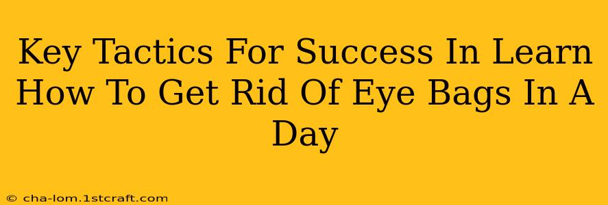 Key Tactics For Success In Learn How To Get Rid Of Eye Bags In A Day