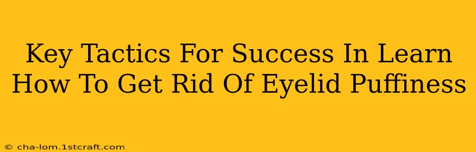 Key Tactics For Success In Learn How To Get Rid Of Eyelid Puffiness