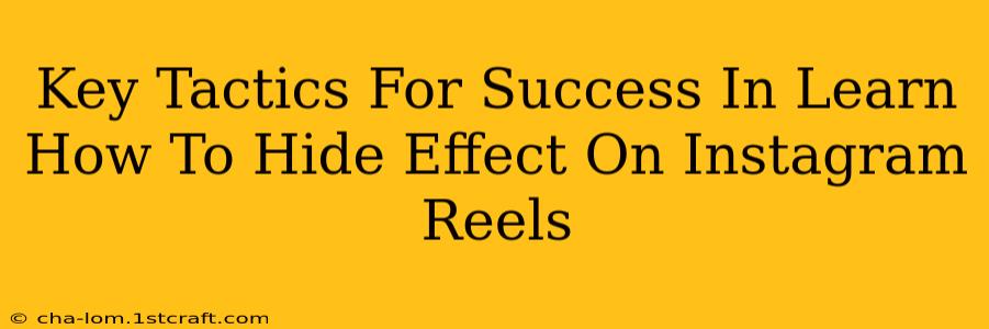 Key Tactics For Success In Learn How To Hide Effect On Instagram Reels