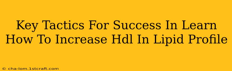 Key Tactics For Success In Learn How To Increase Hdl In Lipid Profile