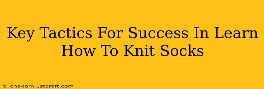 Key Tactics For Success In Learn How To Knit Socks