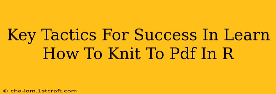 Key Tactics For Success In Learn How To Knit To Pdf In R