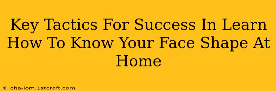 Key Tactics For Success In Learn How To Know Your Face Shape At Home